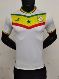2022 세네갈 국가대표 어쎈틱 플레이어 버전 유니폼 상의 마킹 포함 무료 배송